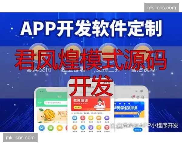 第三方开发者计划在创新周期启动 这种开放举措正吸引更多功能插件接入系统